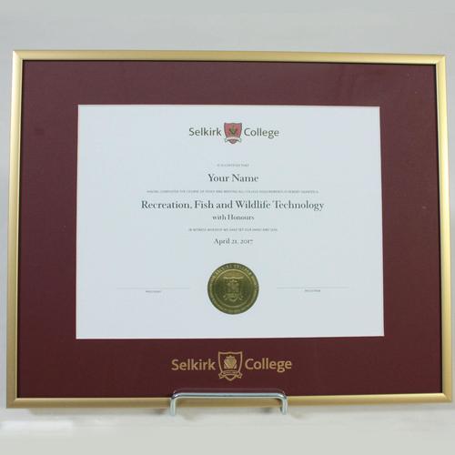 Diploma Frame - Metal