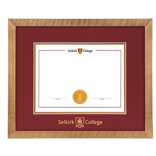 Diploma Frame - Florentine Gold